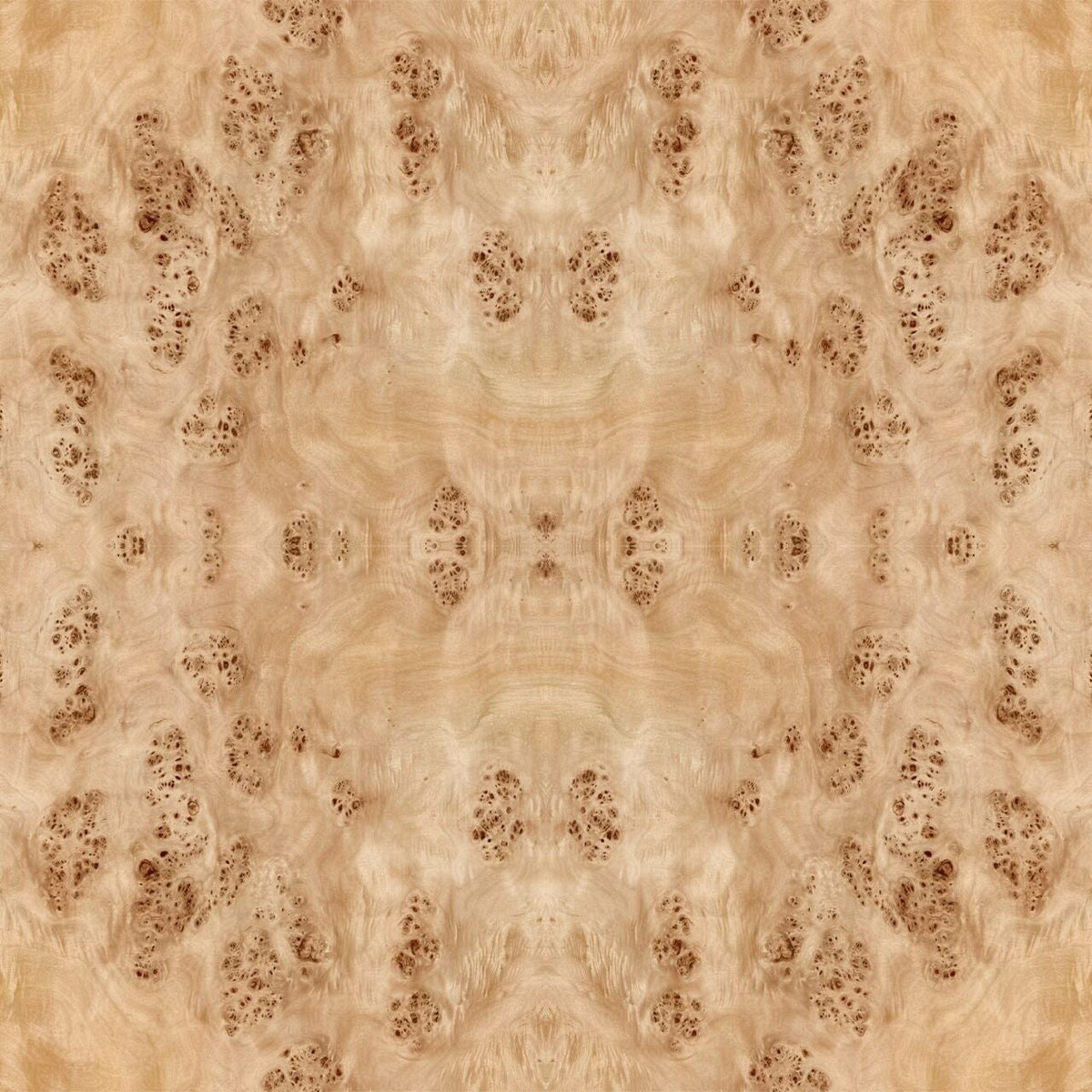 Burl Natural