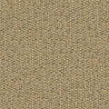 Desert